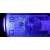 Latarka UV LED bursztyn krew banknot policyjna taktyczna wojskowa myśliwska